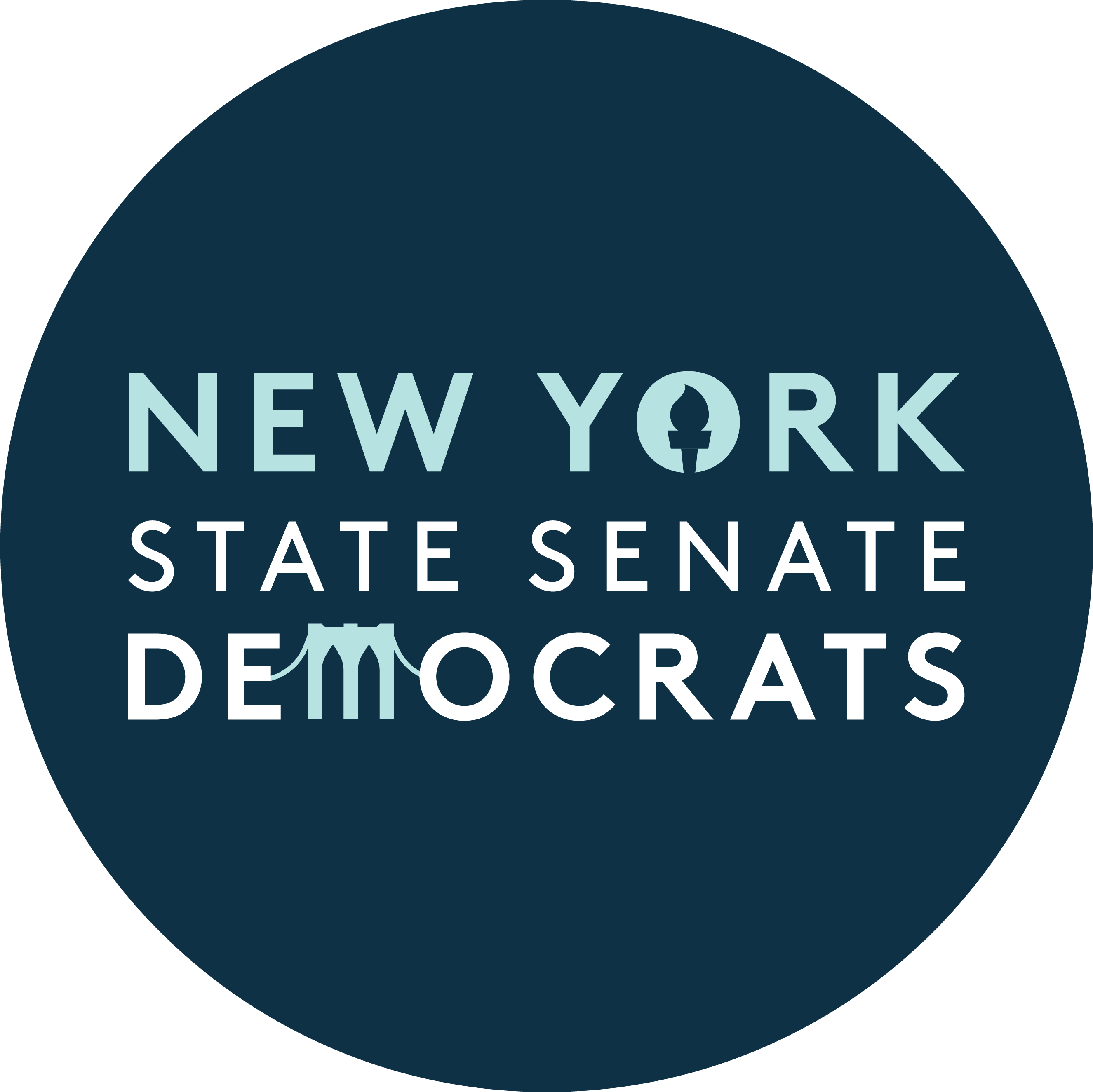 New York State Senate Democratic Conference Logo Option 5