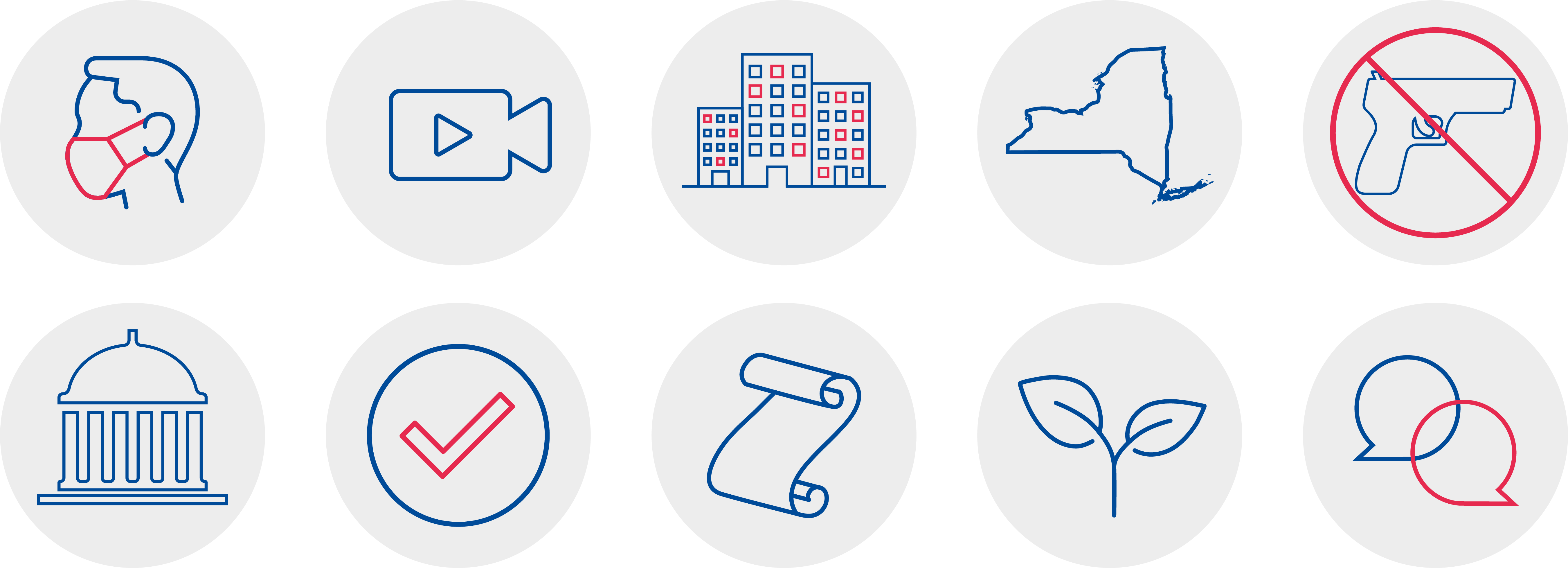 Ne York State Senate Democratic Conference Instagram Highlight Iconography