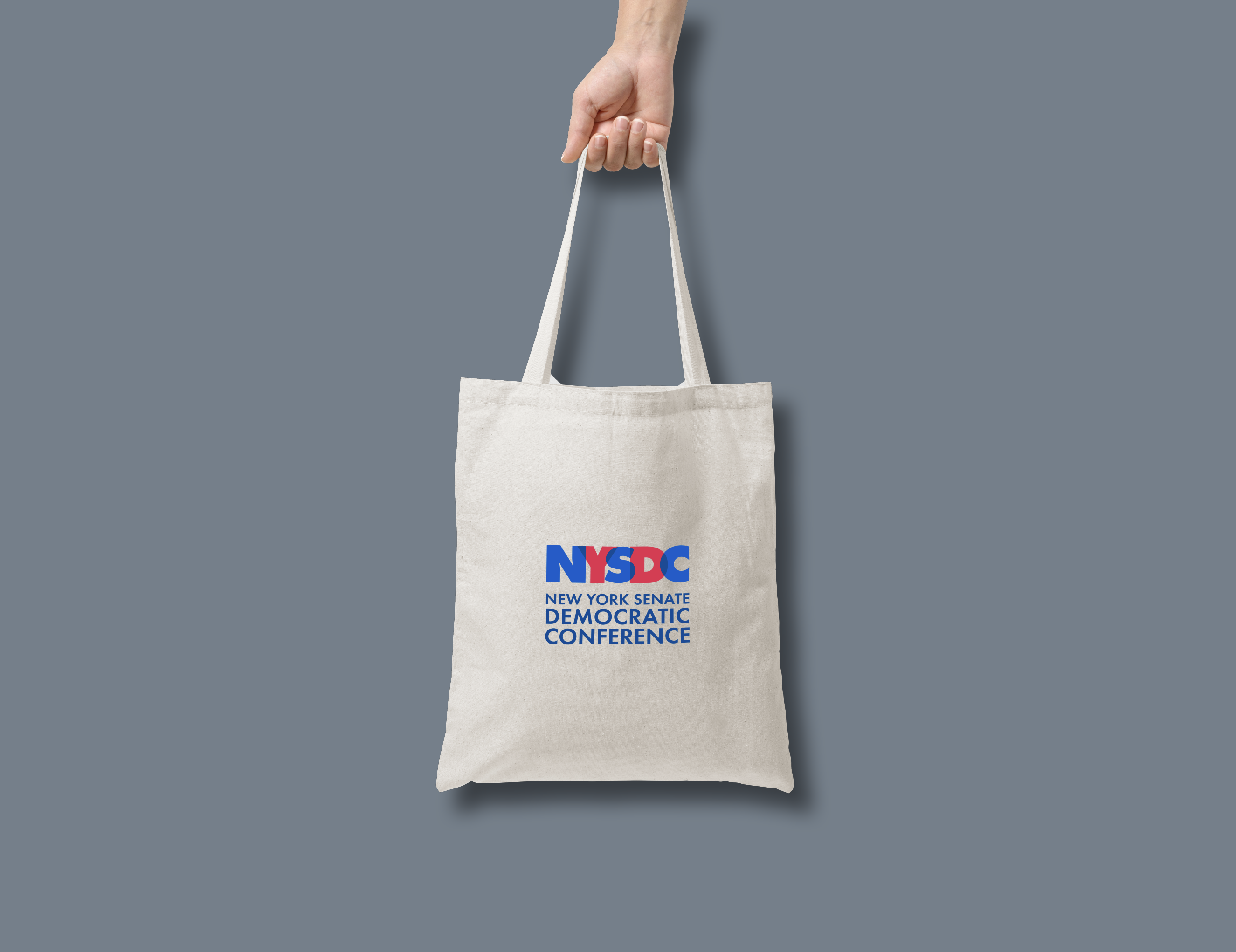 NYSDC Logo use on carry bags